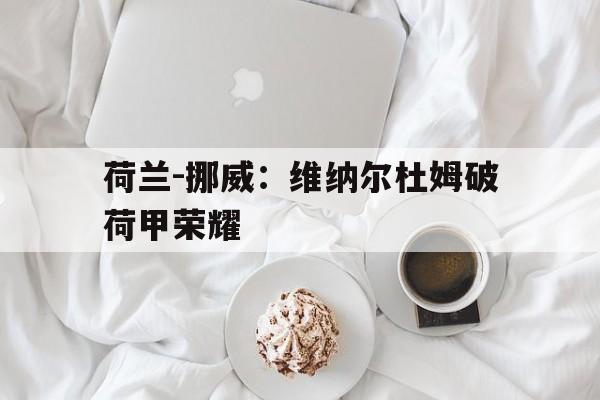 关于荷兰-挪威：维纳尔杜姆破荷甲荣耀的信息