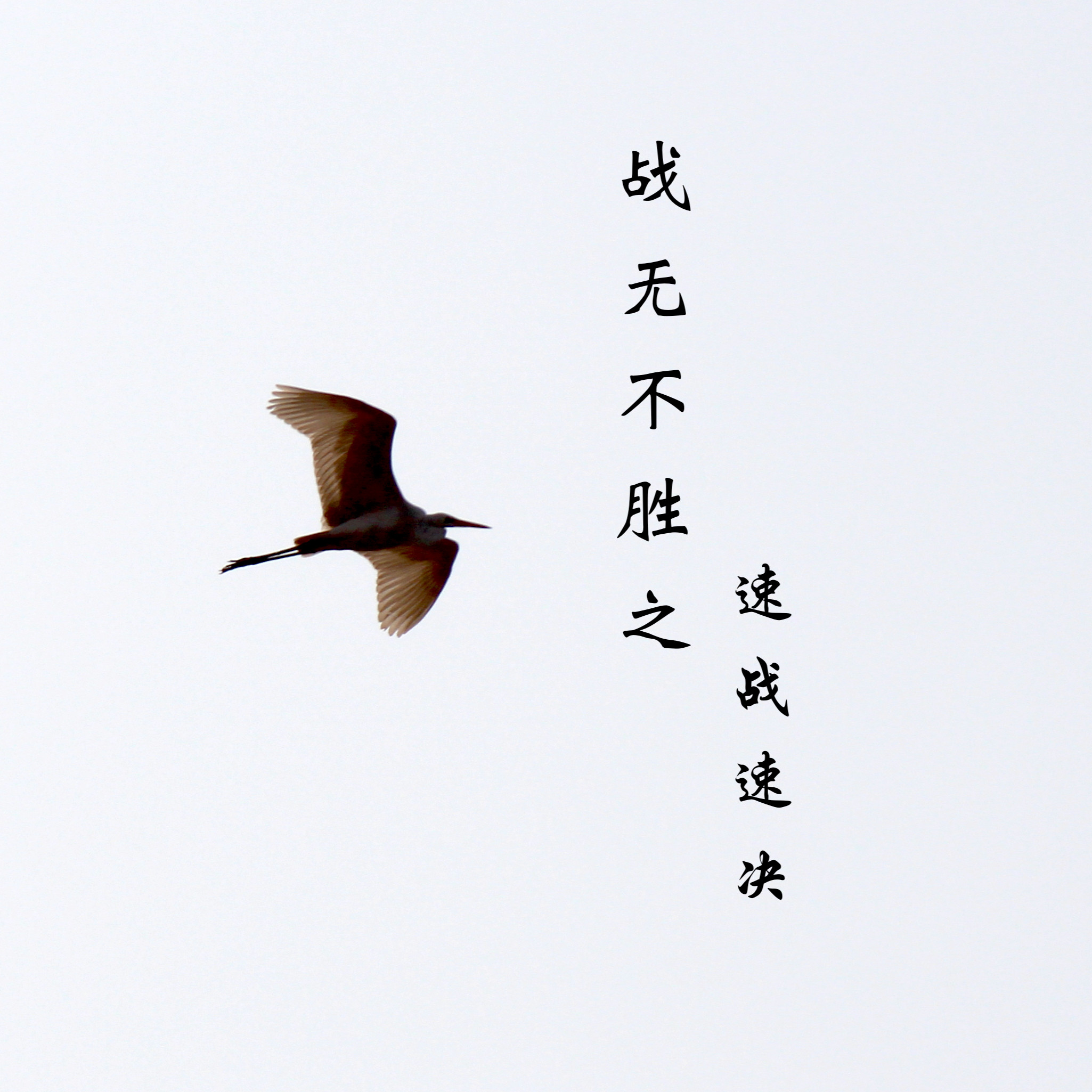 赛场英雄！无畏战将备战重要一战